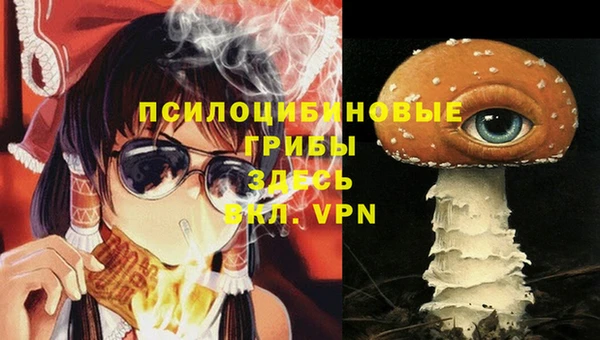 ПСИЛОЦИБИНОВЫЕ ГРИБЫ Ивантеевка