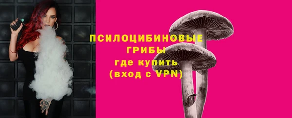 гашик Осташков