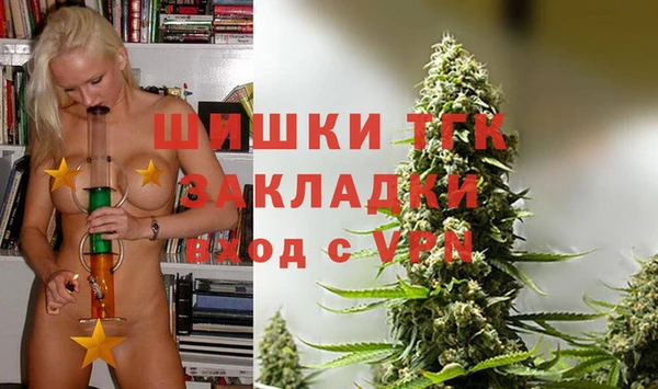 гашик Осташков