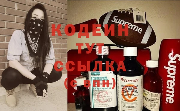 apvp Осинники