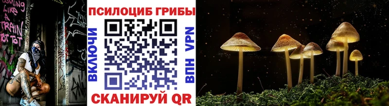 Псилоцибиновые грибы мицелий Гурьевск